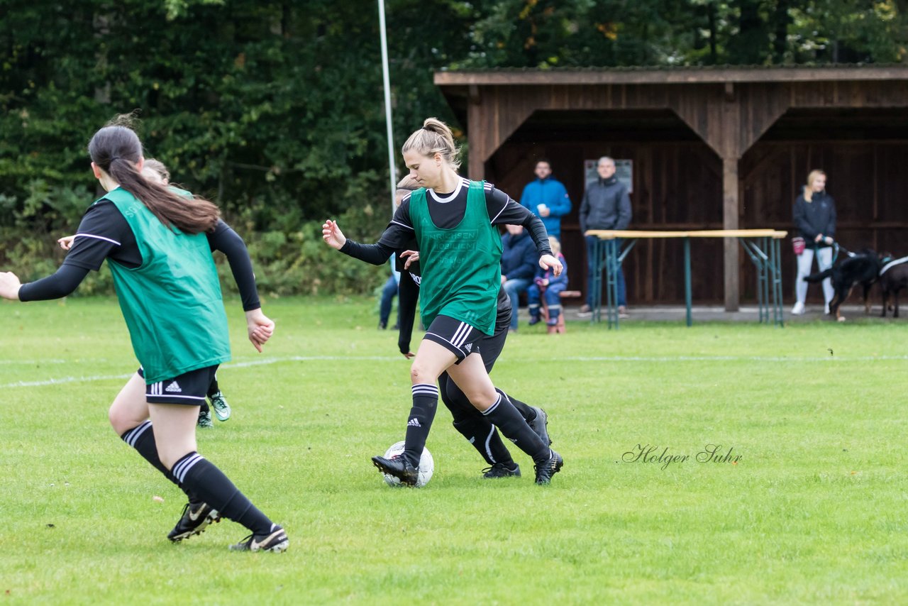 Bild 190 - F SG Daenisch Muessen - SG Blau-Rot Holstein : Ergebnis: 3:1